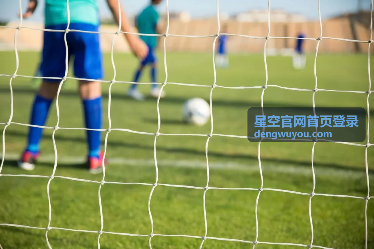 星空官网首页登录账号与客户端相关资讯配图